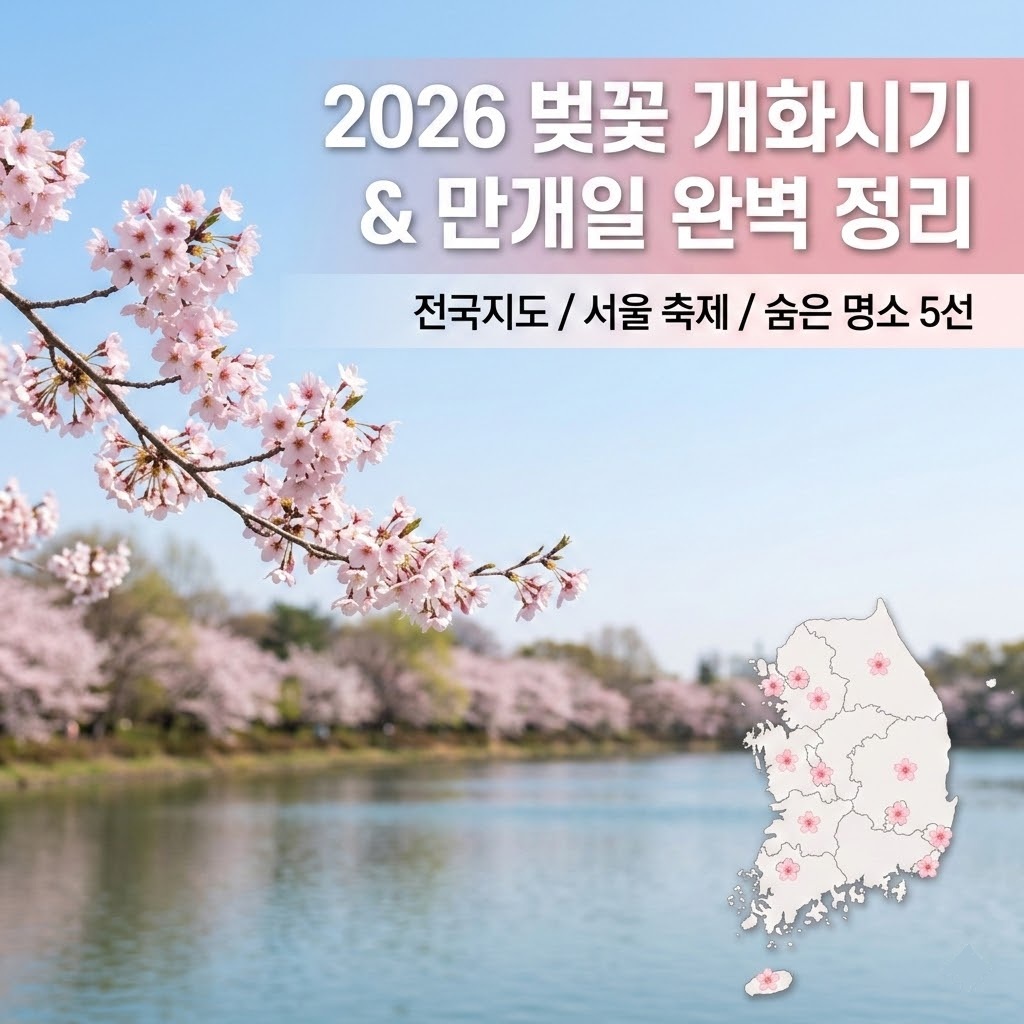 2026년 대한민국 벚꽃 개화시기 전국지도와 주요 도시 만개일, 서울 축제 정보를 요약한 블로그 썸네일 이미지